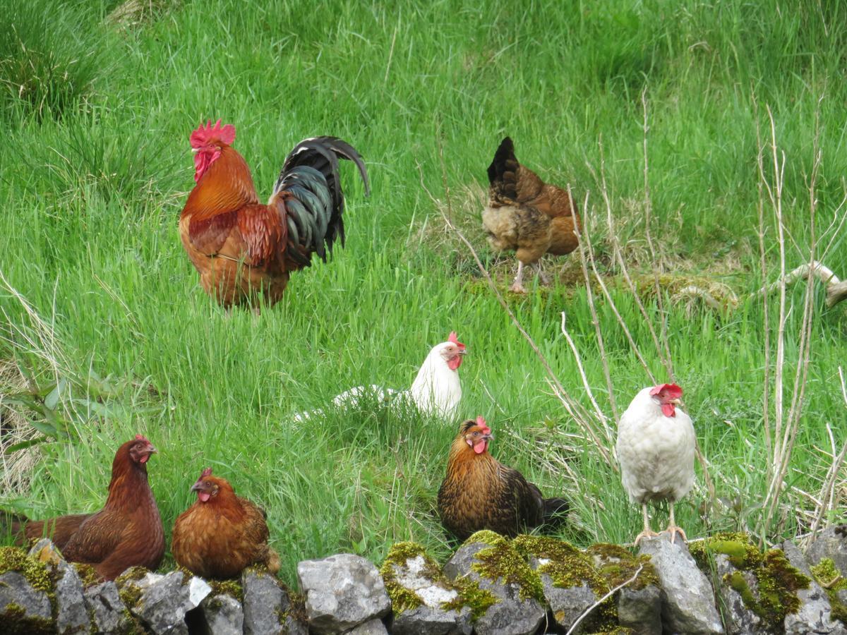 Stoop Farm B&B Buxton (Derbyshire) Ngoại thất bức ảnh