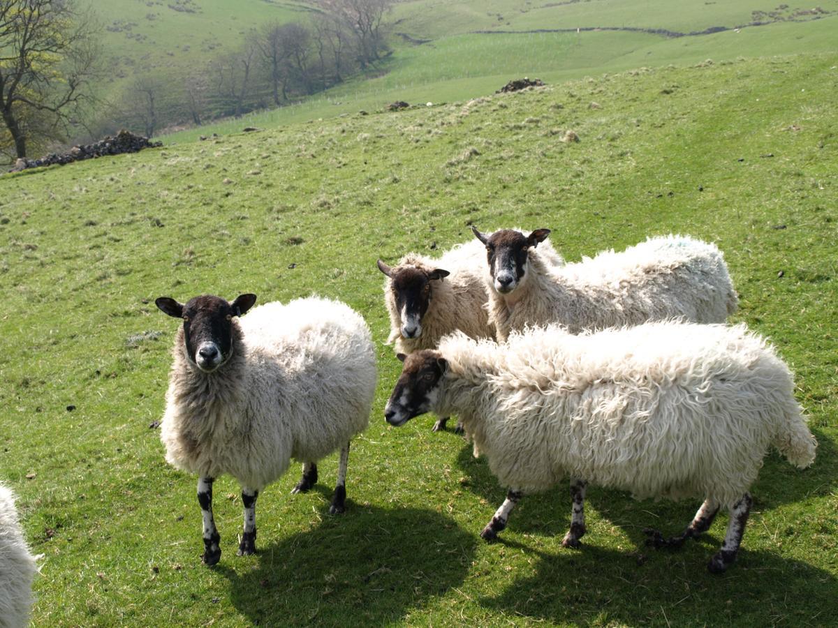 Stoop Farm B&B Buxton (Derbyshire) Ngoại thất bức ảnh